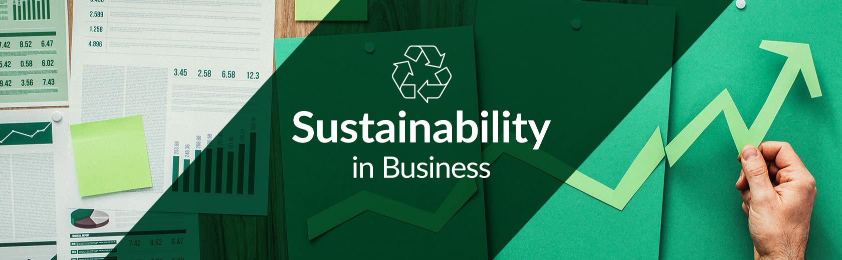 Sustainability: Key Business Strategy | Content Hub | Parcel2Go