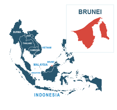 Parcel delivery to Brunei