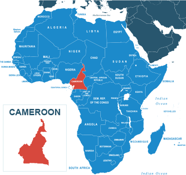 Parcel delivery to Cameroon