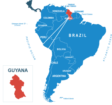 Parcel delivery to Guyana