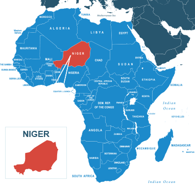 Parcel delivery to Niger