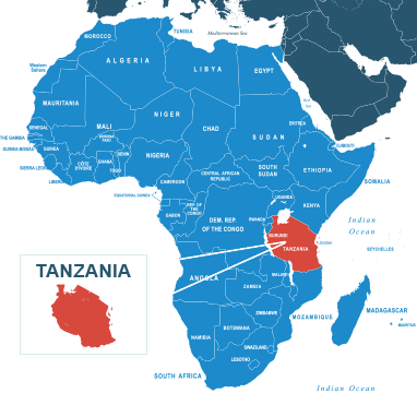 Parcel delivery to Tanzania