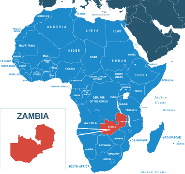 Parcel delivery to Zambia