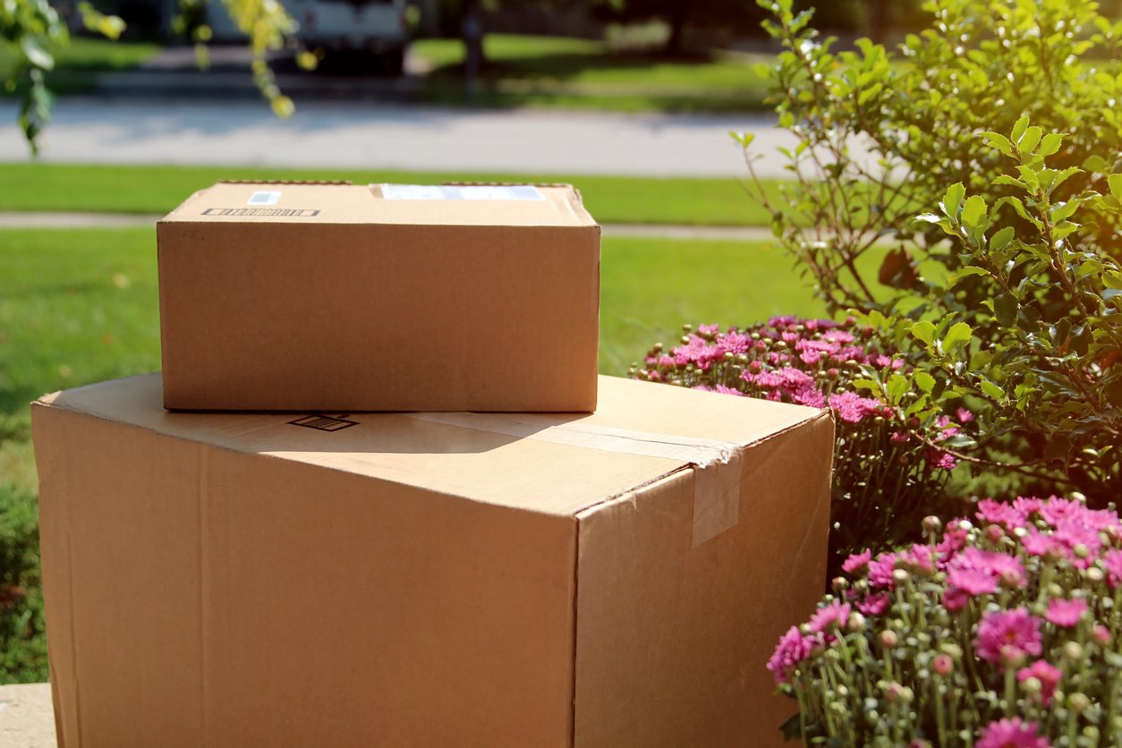 Boxes in garden