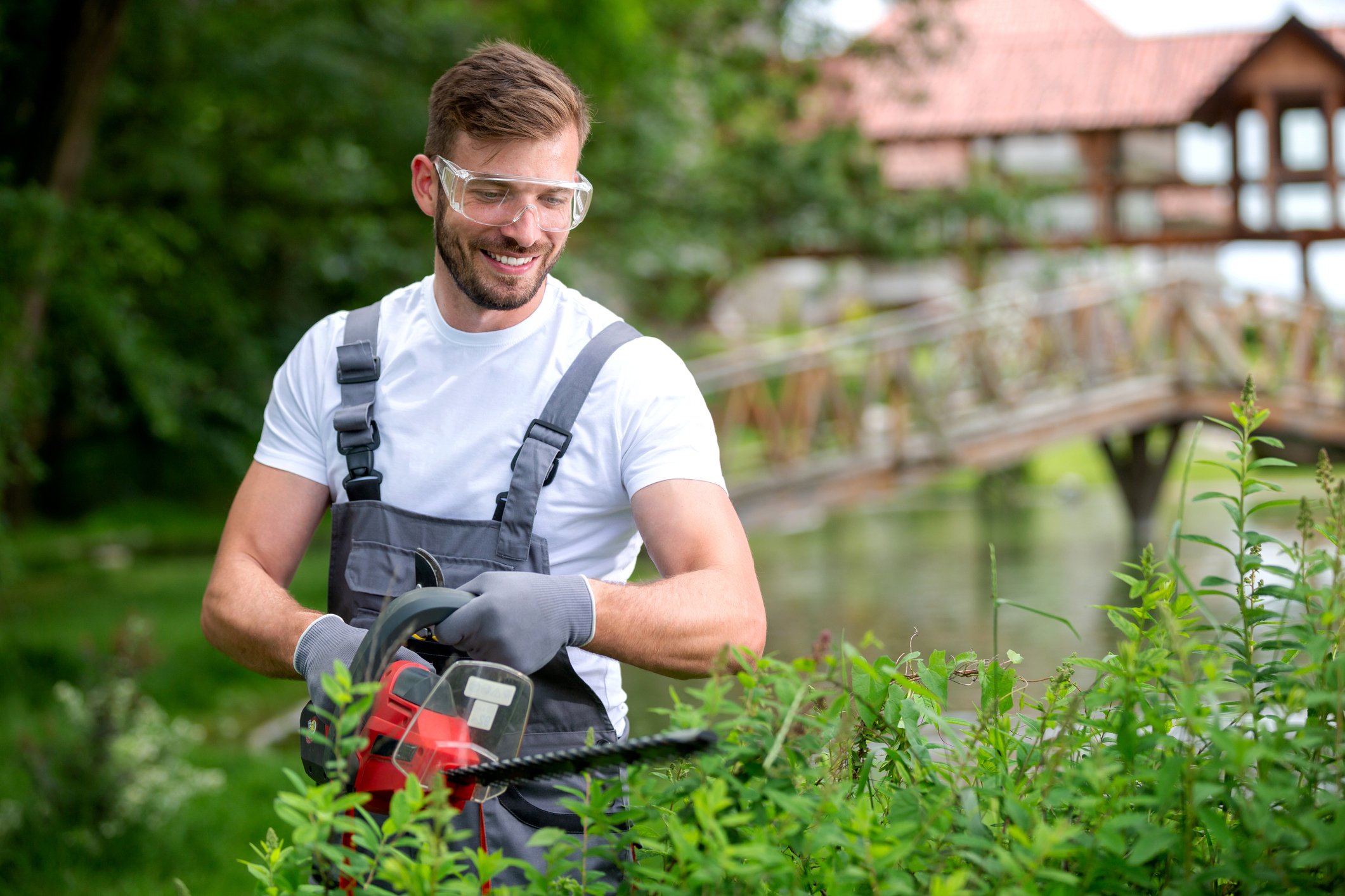 Smiling man trimming hedge