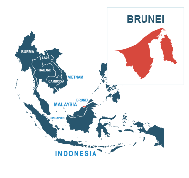 Parcel delivery to Brunei