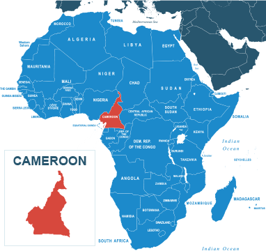 Parcel delivery to Cameroon
