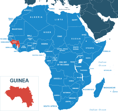 Parcel delivery to Guinea
