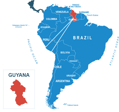 Parcel delivery to Guyana