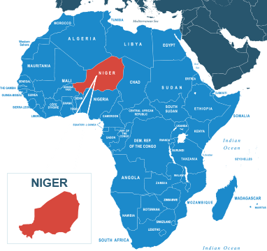 Parcel delivery to Niger